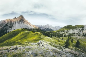 Jak działają wypożyczalnie mebli na event w Polsce?